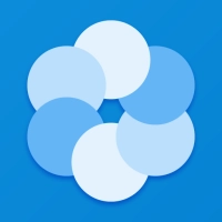 Bluecoins Finance & Budget [Premium]