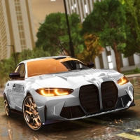 Driving School Simulator : EVO MOD